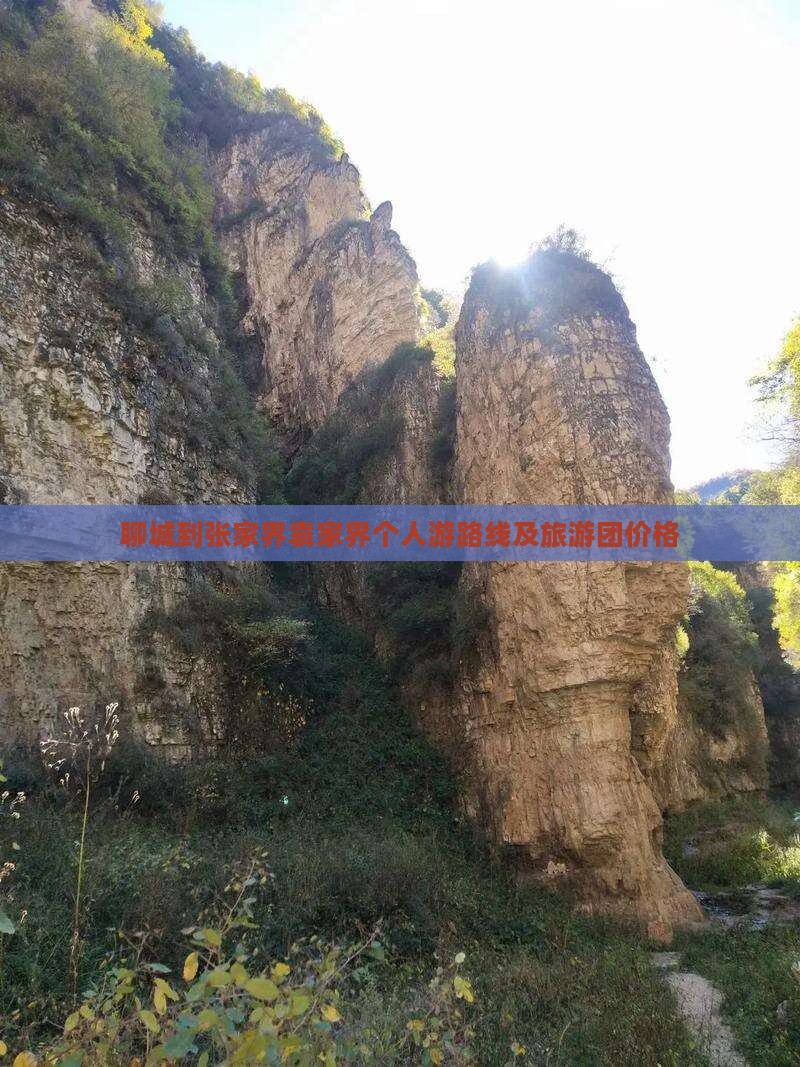 聊城到张家界袁家界个人游路线及旅游团价格
