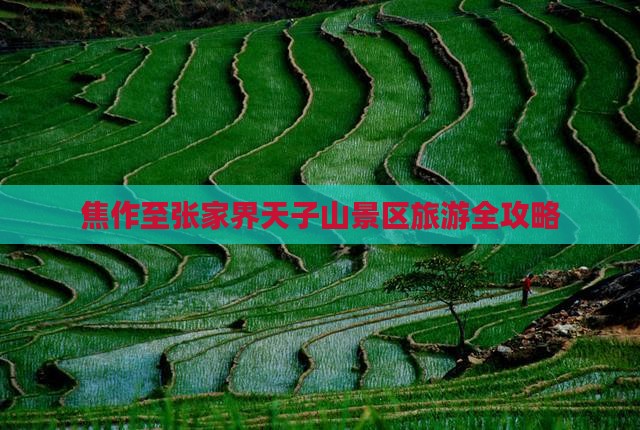焦作至张家界天子山景区旅游全攻略
