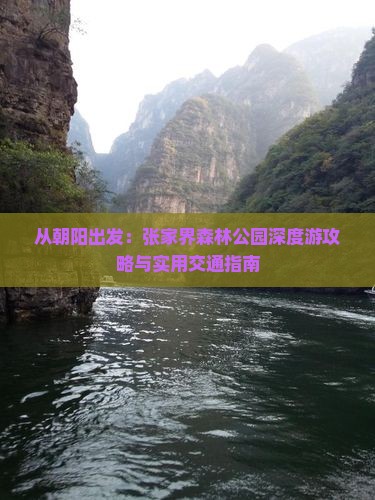 从朝阳出发：张家界森林公园深度游攻略与实用交通指南
