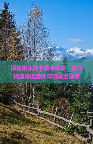 探秘张家界节旅游攻略：玻璃栈道精选路线与游玩全指南