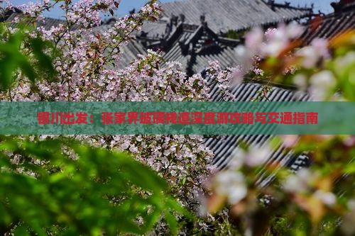银川出发：张家界玻璃栈道深度游攻略与交通指南