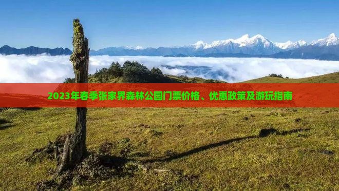 2023年春季张家界森林公园门票价格、优惠政策及游玩指南