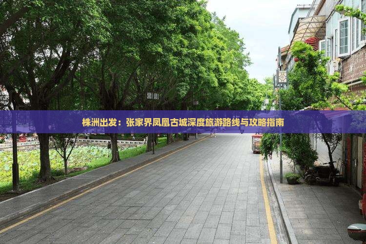 株洲出发：张家界凤凰古城深度旅游路线与攻略指南