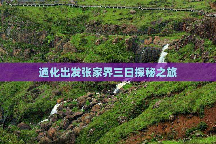 通化出发张家界三日探秘之旅