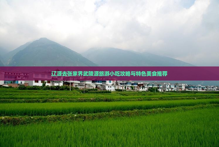辽源去张家界武陵源旅游小吃攻略与特色美食推荐