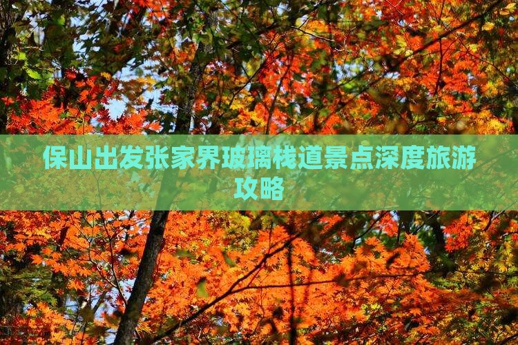 保山出发张家界玻璃栈道景点深度旅游攻略
