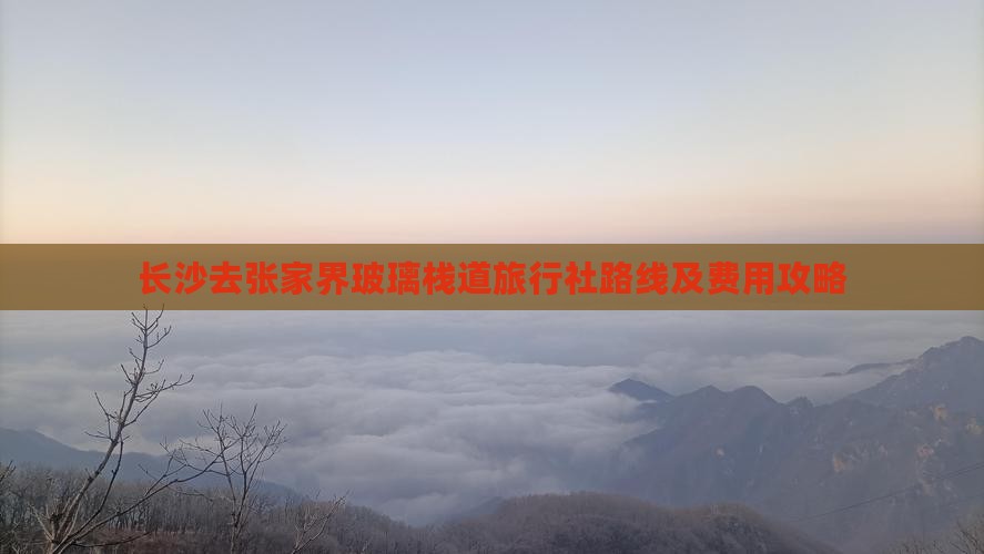 长沙去张家界玻璃栈道旅行社路线及费用攻略