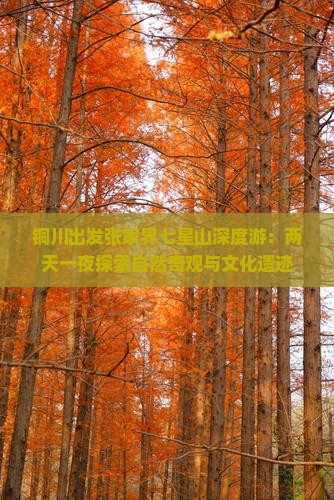 铜川出发张家界七星山深度游：两天一夜探索自然奇观与文化遗迹