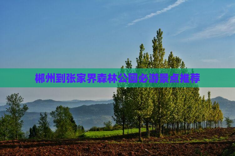 郴州到张家界森林公园必游景点推荐