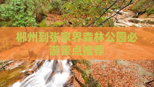 郴州到张家界森林公园必游景点推荐