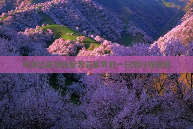 天津出发到张家界袁家界的一日游行程推荐