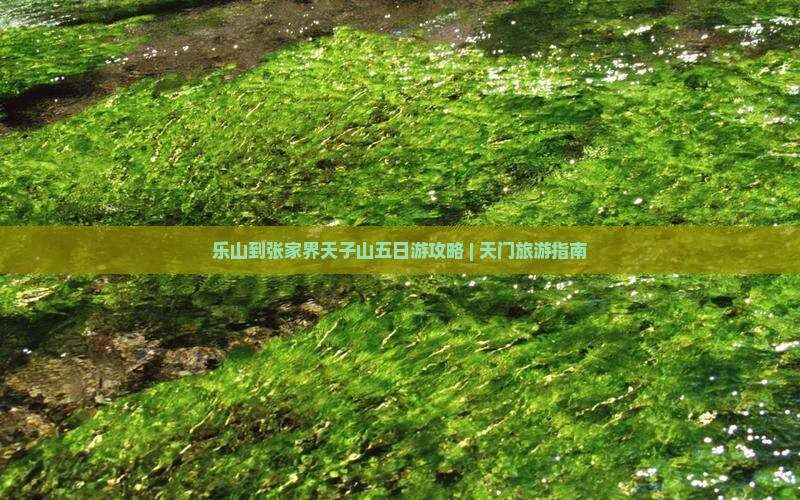 乐山到张家界天子山五日游攻略 | 天门旅游指南