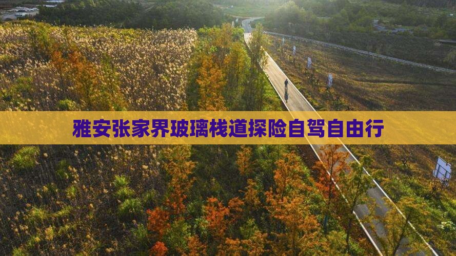 雅安张家界玻璃栈道探险自驾自由行