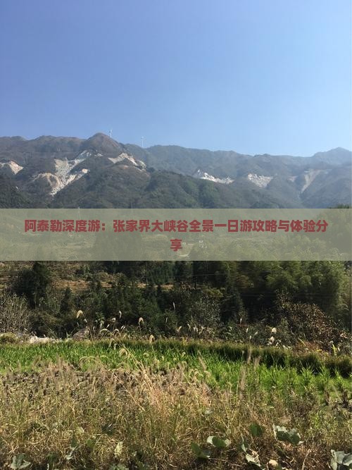 阿泰勒深度游：张家界大峡谷全景一日游攻略与体验分享