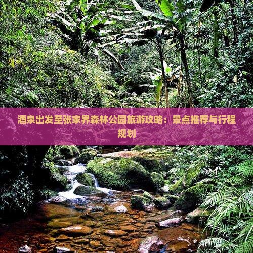 酒泉出发至张家界森林公园旅游攻略：景点推荐与行程规划