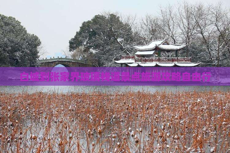 白城到张家界玻璃栈道景点旅游攻略自由行