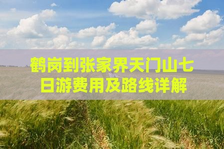 鹤岗到张家界天门山七日游费用及路线详解