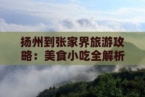 扬州到张家界旅游攻略：美食小吃全解析