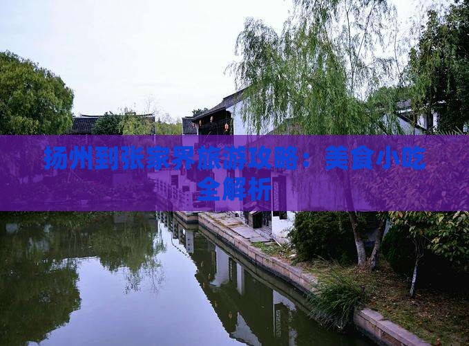 扬州到张家界旅游攻略：美食小吃全解析