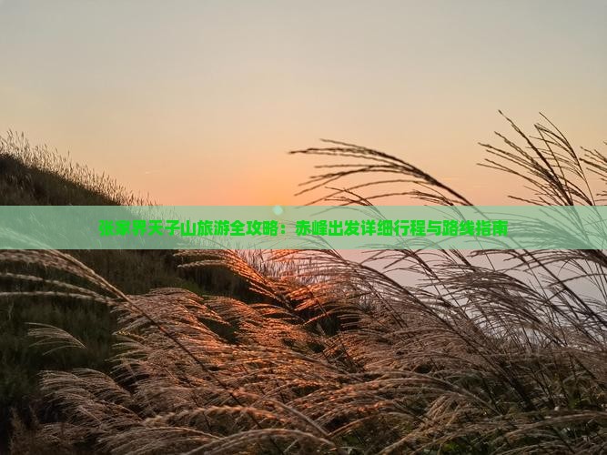 张家界天子山旅游全攻略：赤峰出发详细行程与路线指南