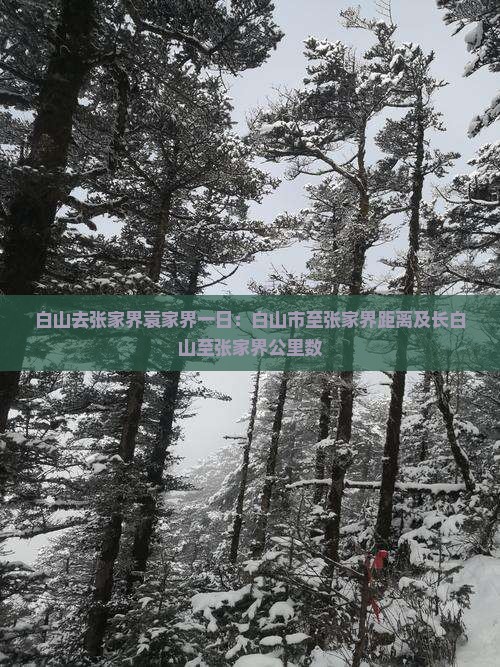 白山去张家界袁家界一日：白山市至张家界距离及长白山至张家界公里数