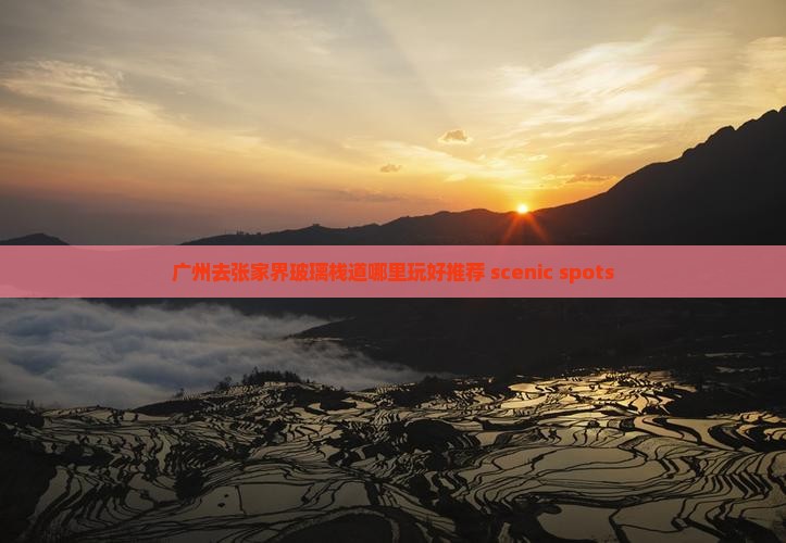 广州去张家界玻璃栈道哪里玩好推荐 scenic spots