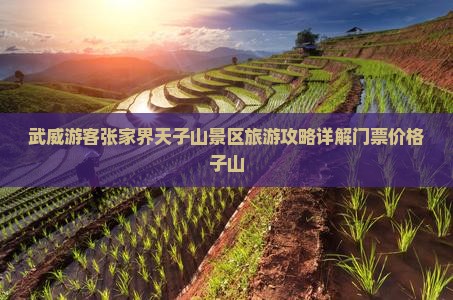 武威游客张家界天子山景区旅游攻略详解门票价格子山