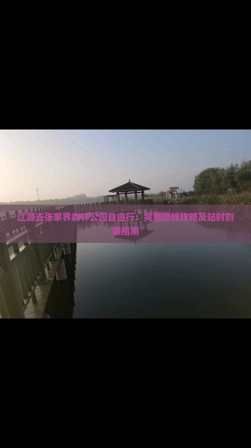辽源去张家界森林公园自由行：完整路线攻略及站时刻表指南