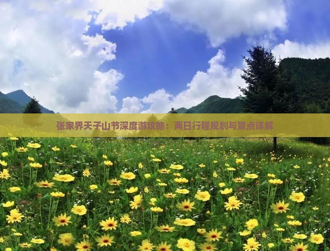 张家界天子山节深度游攻略：两日行程规划与景点详解
