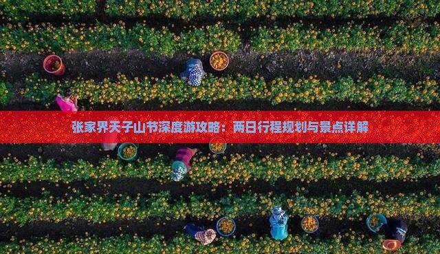 张家界天子山节深度游攻略：两日行程规划与景点详解