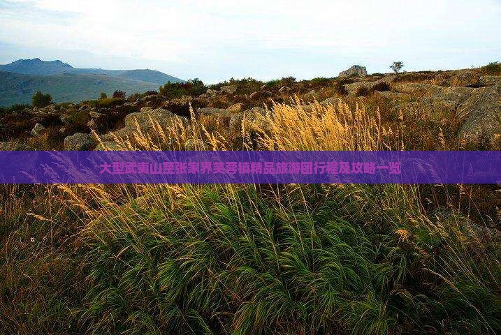大型武夷山至张家界芙蓉镇精品旅游团行程及攻略一览