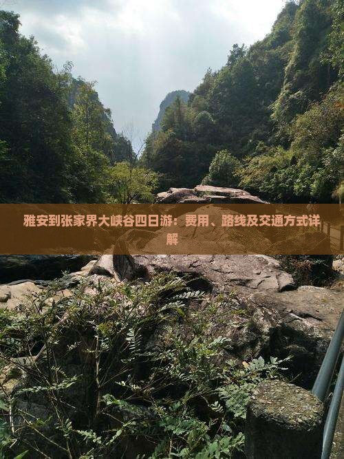 雅安到张家界大峡谷四日游：费用、路线及交通方式详解
