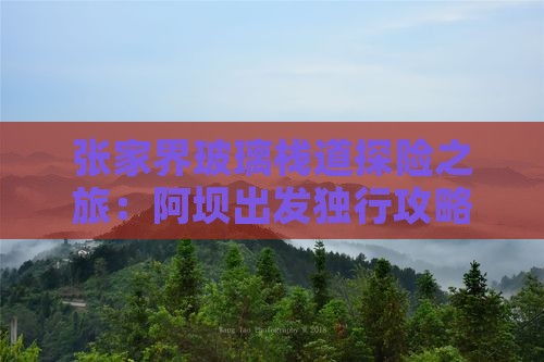 张家界玻璃栈道探险之旅：阿坝出发独行攻略