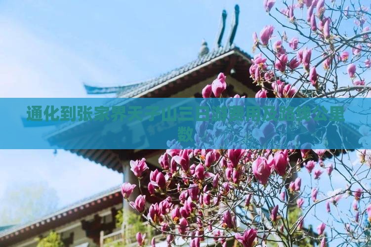 通化到张家界天子山三日游费用及路线公里数
