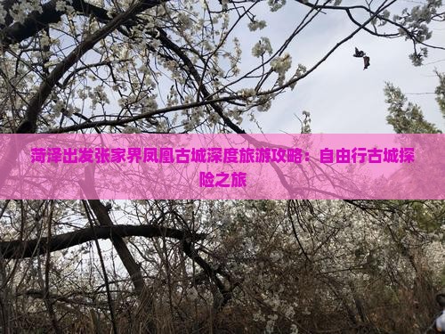菏泽出发张家界凤凰古城深度旅游攻略：自由行古城探险之旅