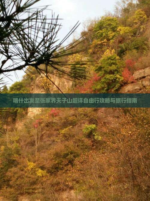 喀什出发至张家界天子山超详自由行攻略与旅行指南