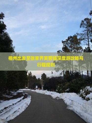 梧州出发至张家界芙蓉镇深度游攻略与行程规划