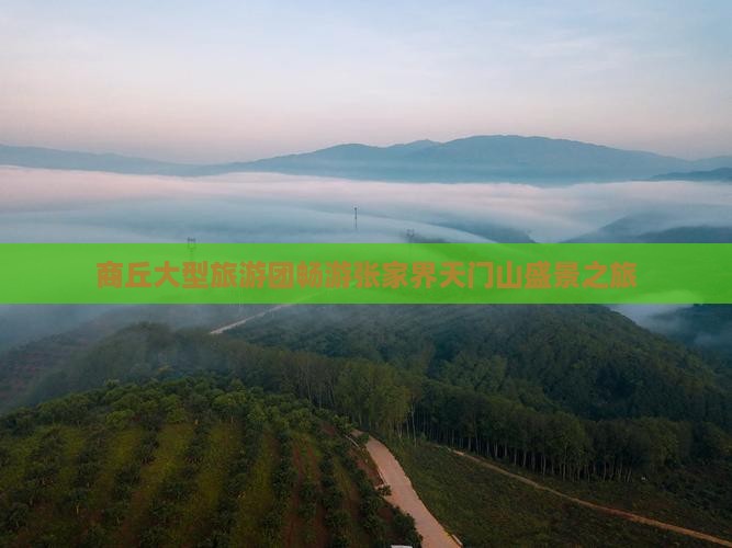 商丘大型旅游团畅游张家界天门山盛景之旅