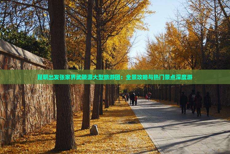 昆明出发张家界武陵源大型旅游团：全景攻略与热门景点深度游