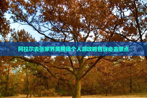 阿拉尔去张家界芙蓉镇个人游攻略包含必去景点