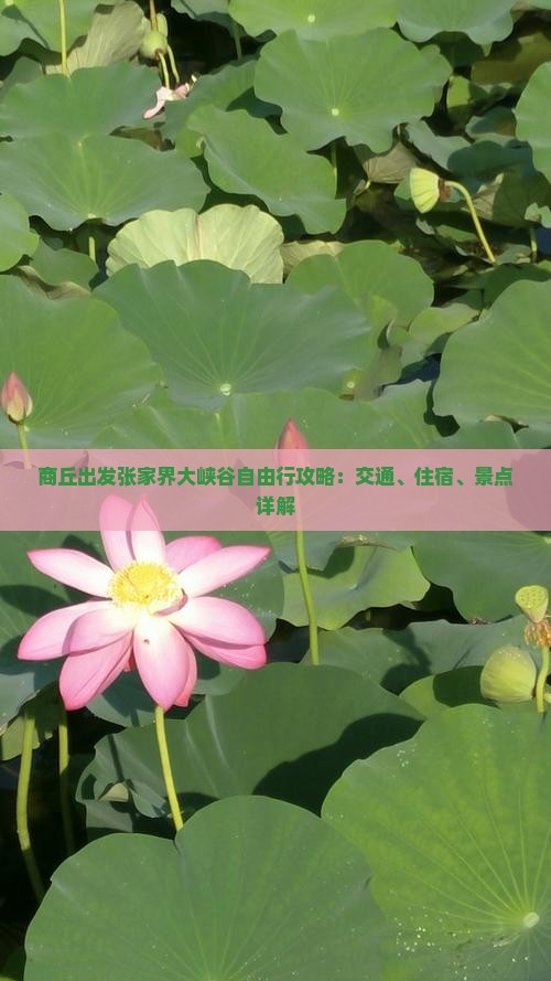 商丘出发张家界大峡谷自由行攻略：交通、住宿、景点详解