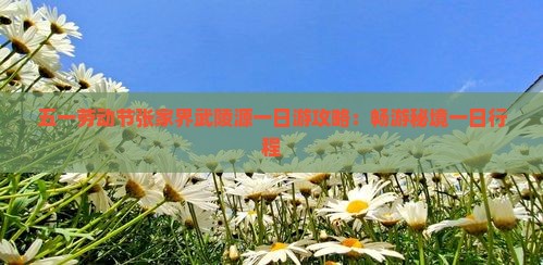 五一劳动节张家界武陵源一日游攻略：畅游秘境一日行程