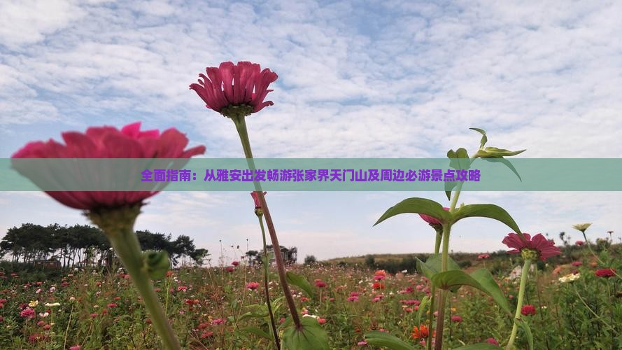 全面指南：从雅安出发畅游张家界天门山及周边必游景点攻略
