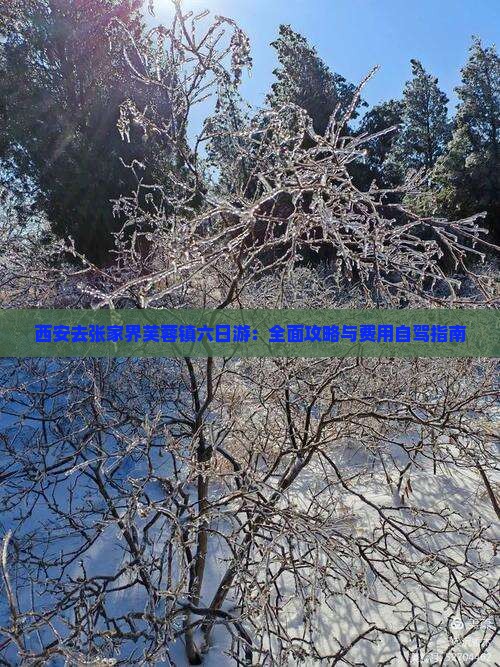 西安去张家界芙蓉镇六日游：全面攻略与费用自驾指南