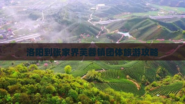 洛阳到张家界芙蓉镇团体旅游攻略