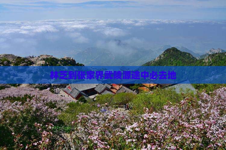 林芝到张家界武陵源途中必去地