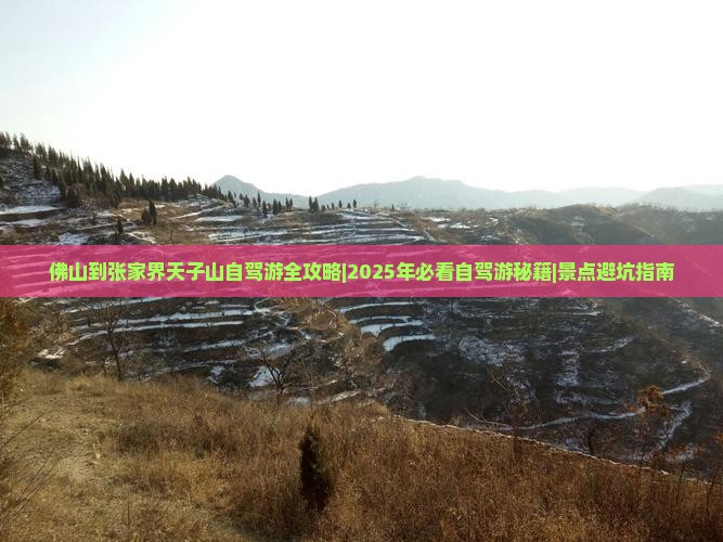 佛山去张家界天子山景点
