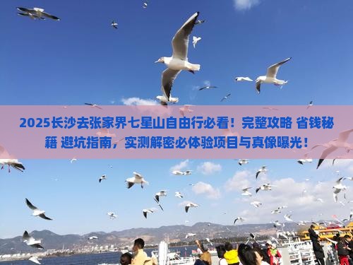 长沙去张家界七星山自由行