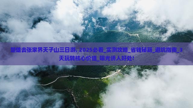 楚雄去张家界天子山三日游