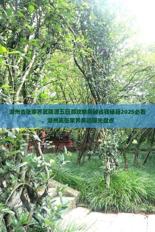 湖州去张家界武陵源五日游